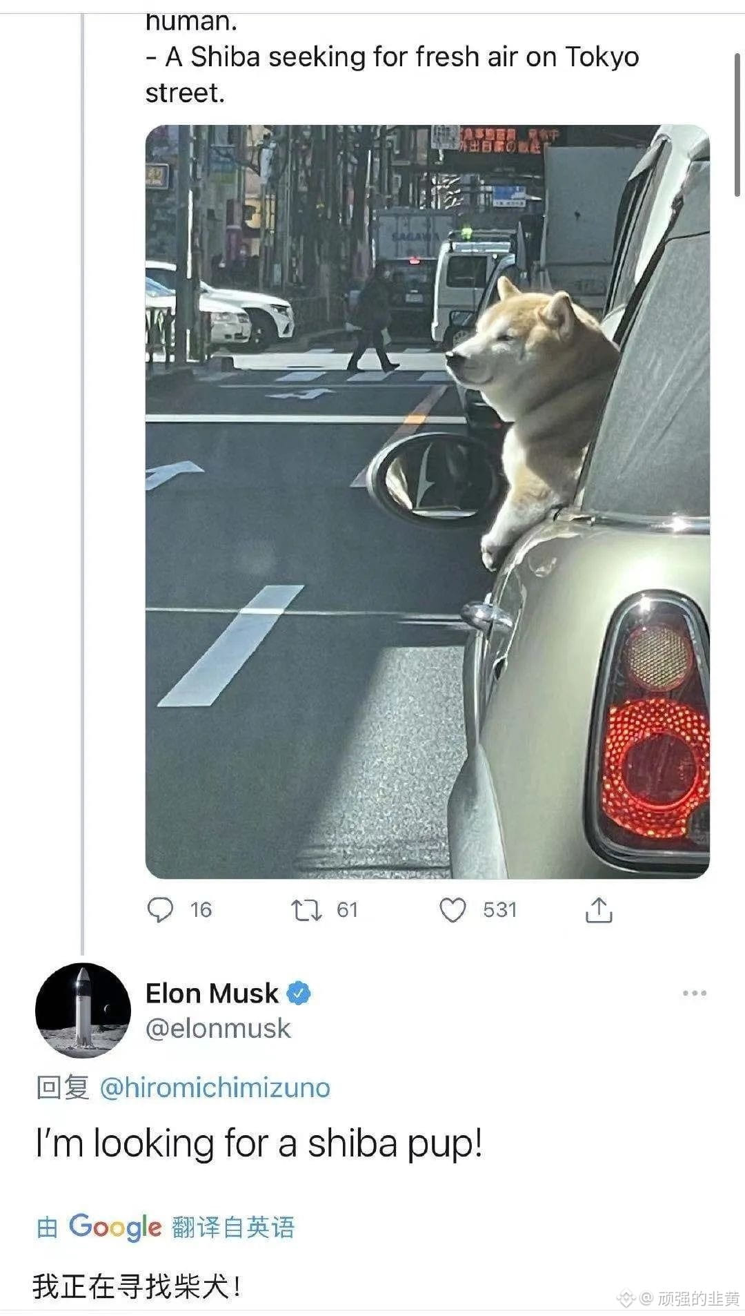 Musk SHIB Tweet